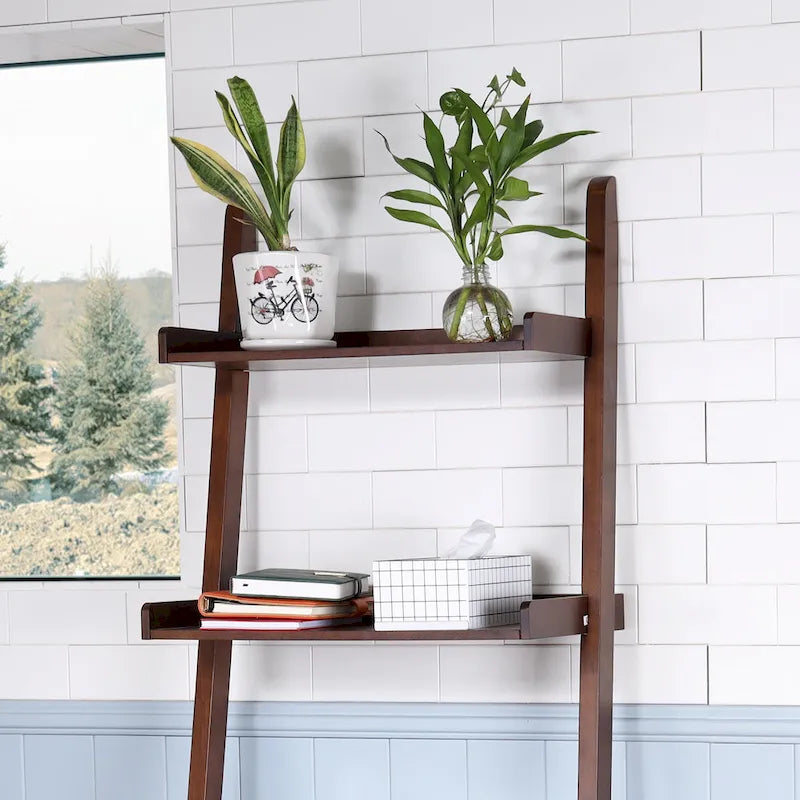 5 - Tier Ladder Shelf