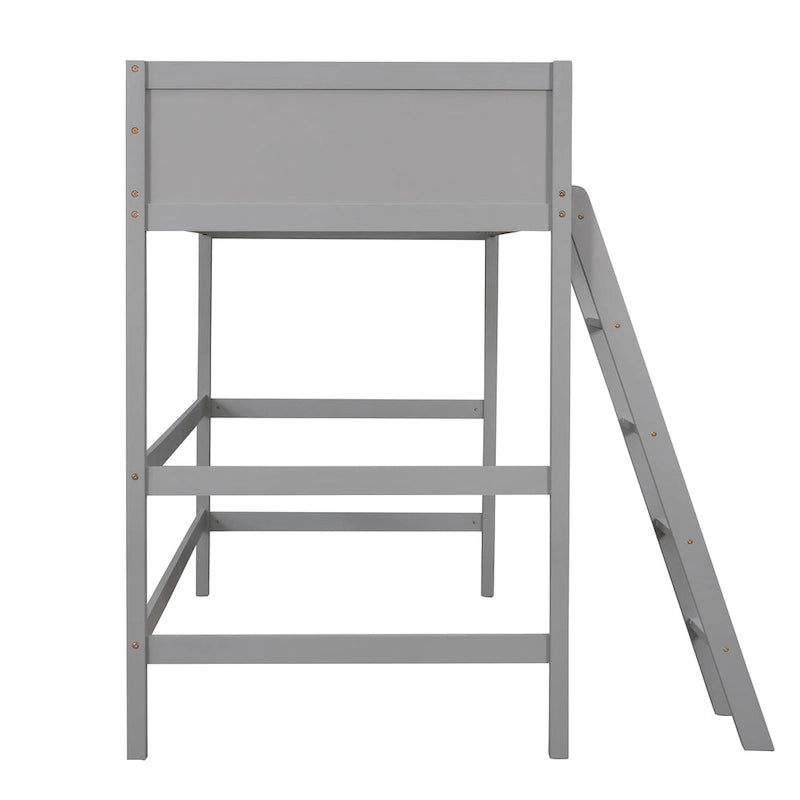Twin Size Loft Bed with Ladder