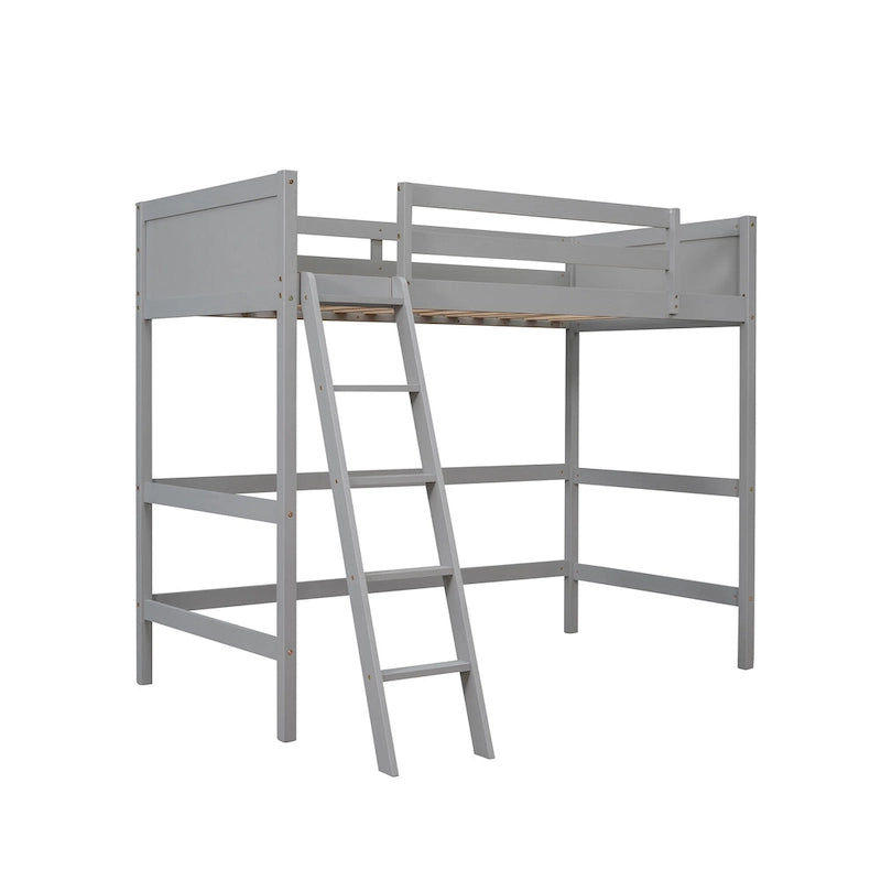 Twin Size Loft Bed with Ladder