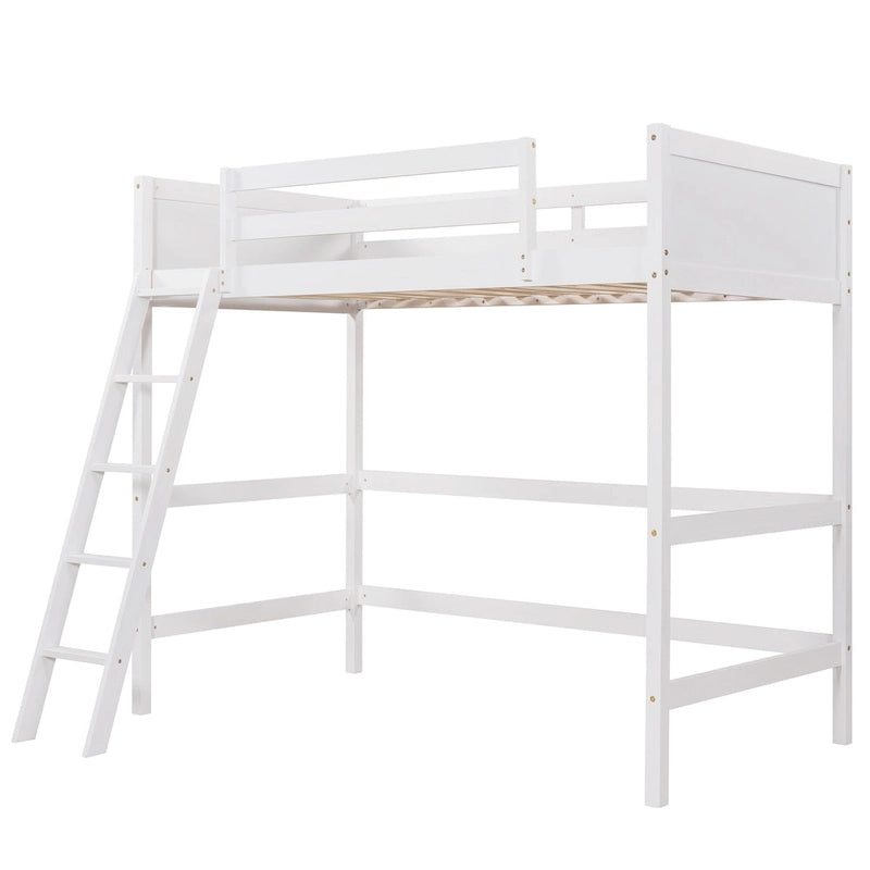 Twin Size Loft Bed with Ladder