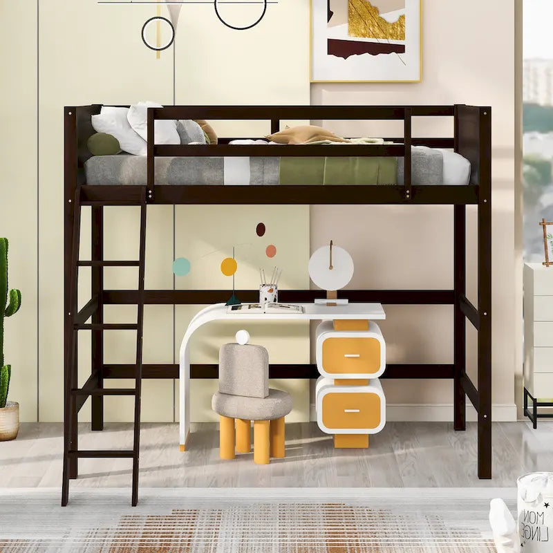 Twin Size Loft Bed with Ladder