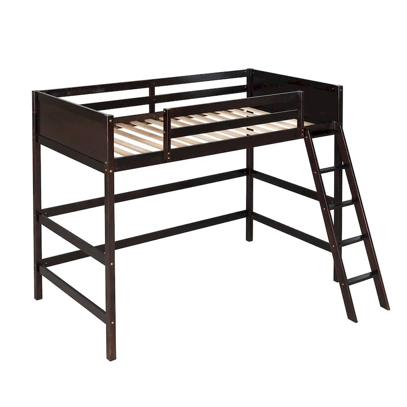 Twin Size Loft Bed with Ladder