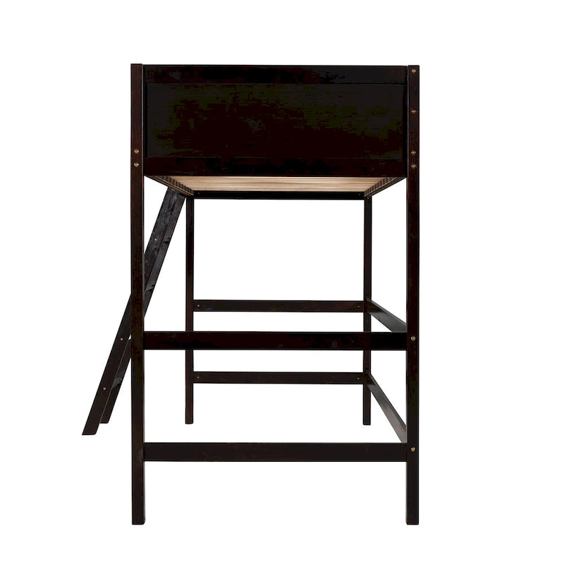 Twin Size Loft Bed with Ladder